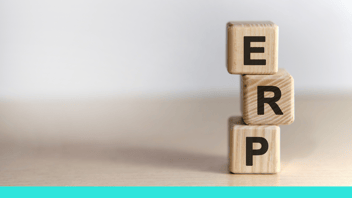 Is a Virtual CFO Necessary If You're Getting Reporting from ERP Software?