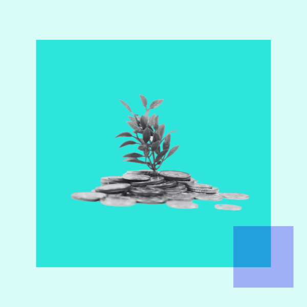 Website Images 66-1 Website Images 66-1